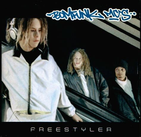 freestyler song bomfunk mc's.